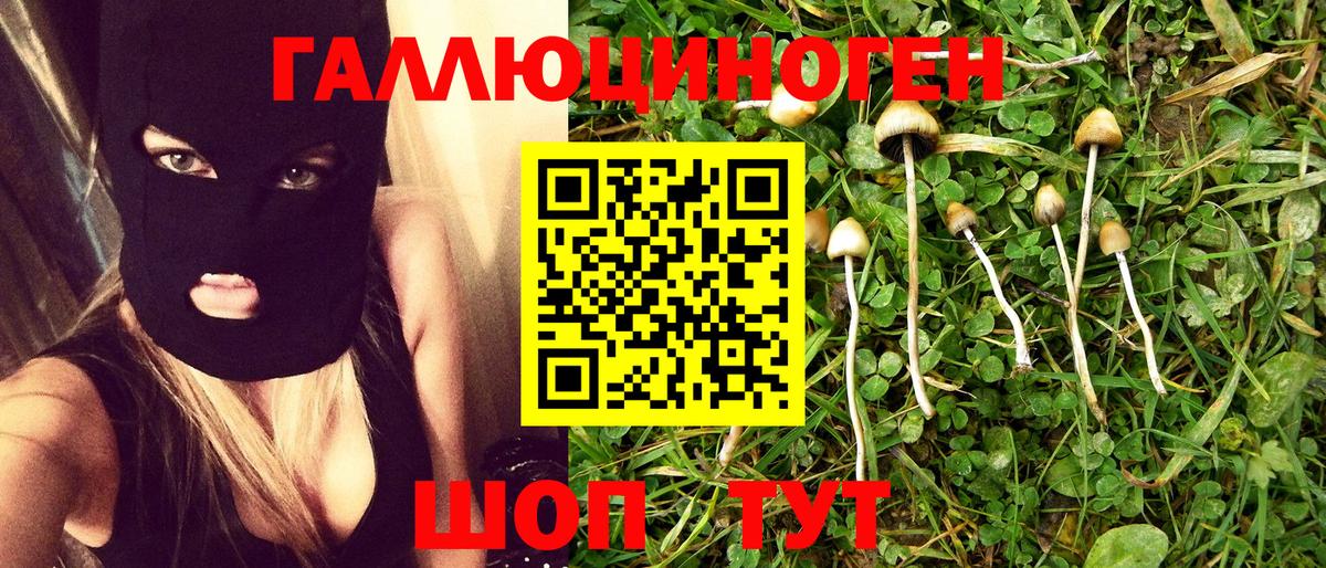 Псилоцибиновые грибы Cubensis Абинск